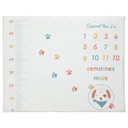 Tapis de jeu en PVC 72x92 cm avec étapes bébé - Toutou - Babycalin