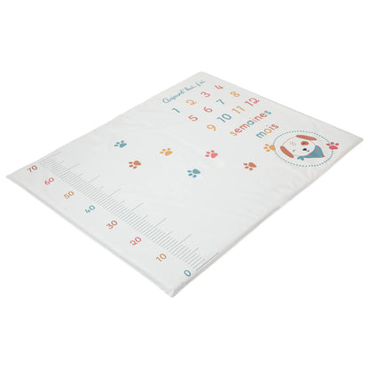 Tapis de jeu en PVC 72x92 cm avec étapes bébé - Toutou - 